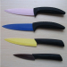 extremely sharp ceramic paring knife