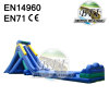 Hippo Long Inflatable Beach Slide