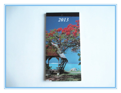 postcard with 2014 diary