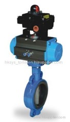 Rubber lined butterfly valve