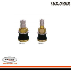 Tubeless Metal Clamp-in Valves for Truck & Bus