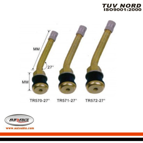 Tubeless Metal Clamp-in Valves for Truck & Bus (27° angle)