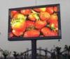 IP65 P7 Outdoor Full Color LED Displays , 32*32 Resolution Video Wall