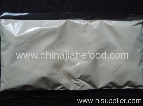 Chinese dehydrated garlic powder free GMO certificate in stock