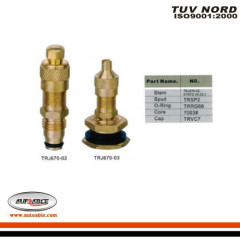 Large Bore Swivel Type Valve