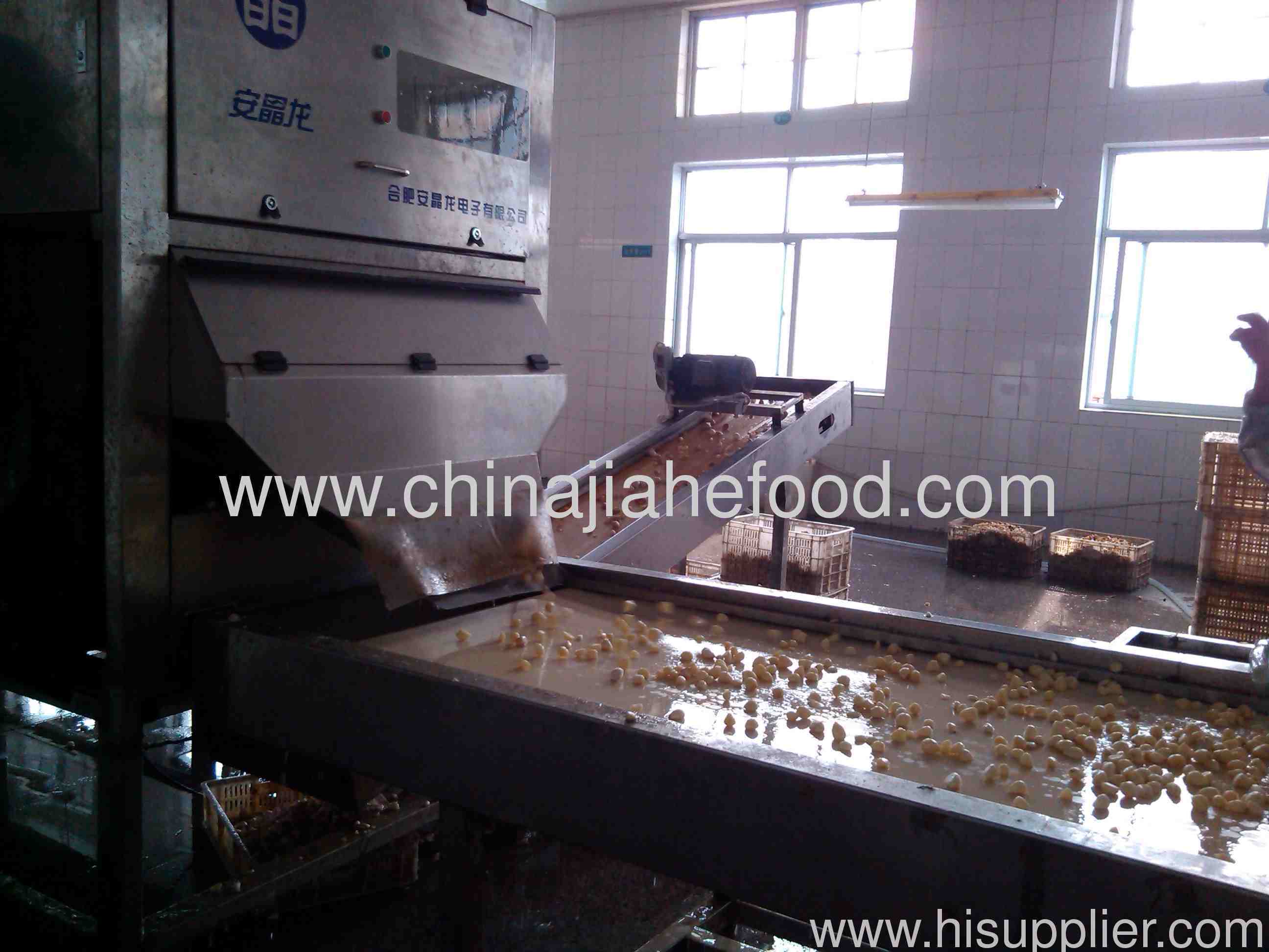 New color selection machine used in dehydrated garlid flakes