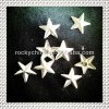 STAR Studs For Clothing /Garment Rivets