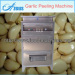 dry type garlic peeler machine