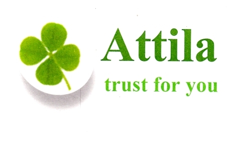 Attila Ltd.