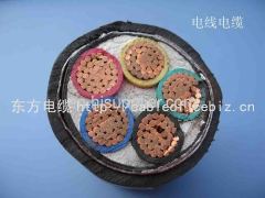 PVC insulatedand sheathed control cable