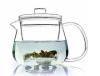 Insulated Hand Blown Borosilicate Glass Tea Pots Coffee Pots