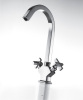 Dual handles kitchen mixer