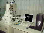 Scanning electron microscope