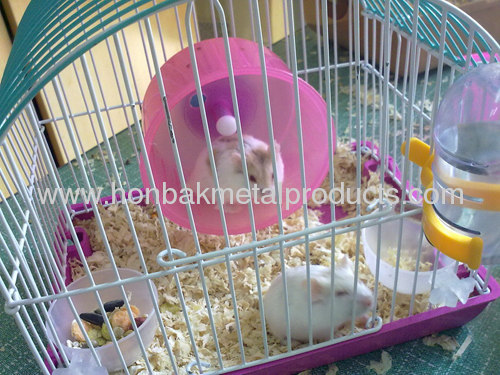 Powder coatingMetal Hamster cage