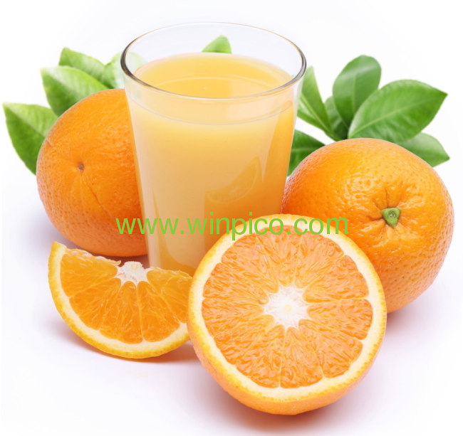 30w 1L elegant appearance Citrus Juicer