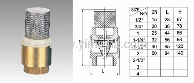 Brass Spring Check Valve with Stainless Steel Mesh