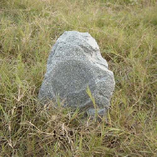 5.5Woofer Stone surface Garden Speaker