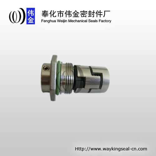 fully welded cartridge mechanical seals CR16