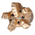 5 Blades PDC Bits for Oil Exploration