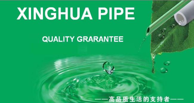 Female Tee PPR Plumbing material from China