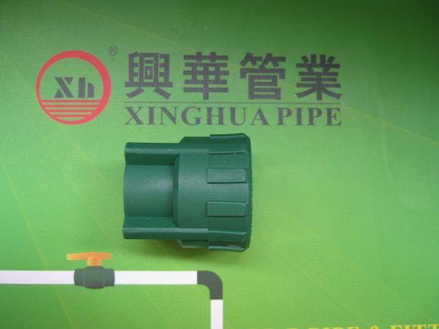 PPR fittings plumbing material Female Coupling from China