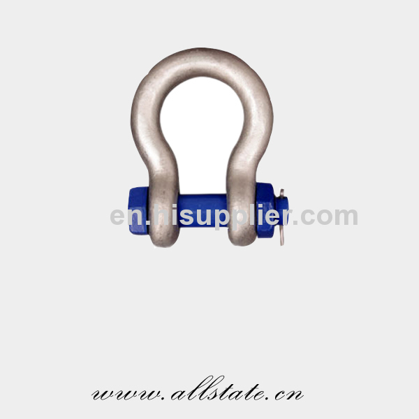 Stainless Steel Screw Pin Shackle