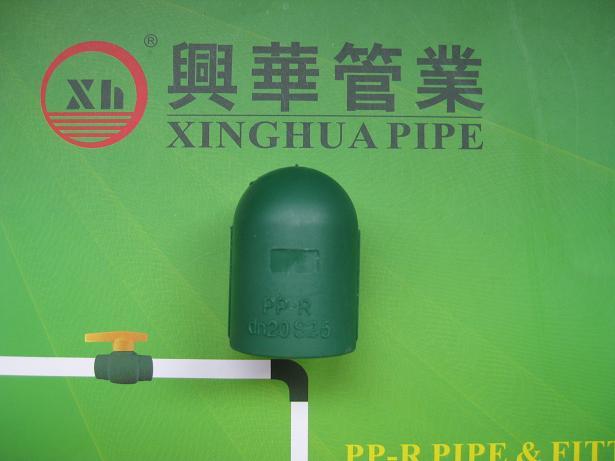 PPRC fittings plumbing material Elbow 90° from China