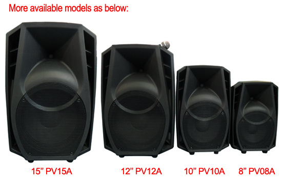 DB Technology 8 Inch Full Range Speaker PV08 / PV08A