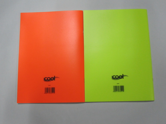 A4 cool colour PP covernotebook college ruled