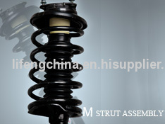 Strut Assembly of car