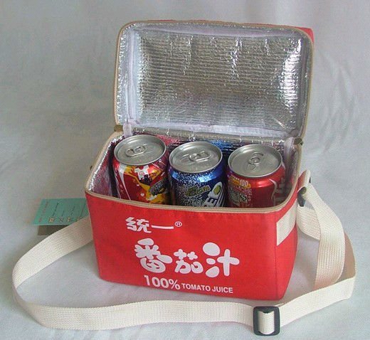 Non woven wine bottle cooler bag on wheels 