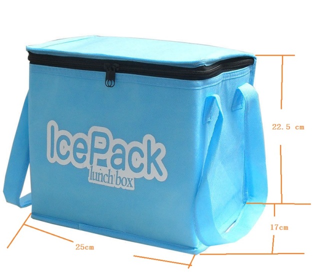 Non woven lunch bagwine cooler bag 