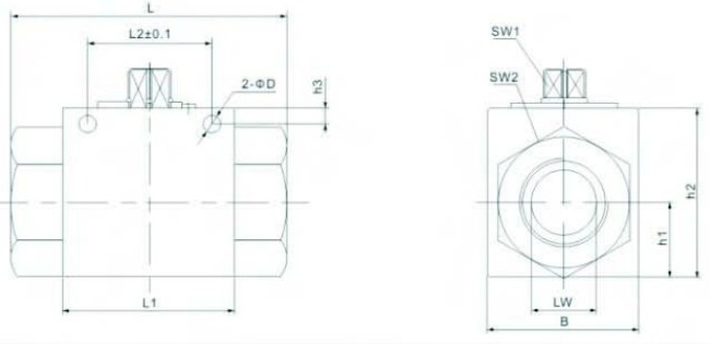 VH2H-NPT Straight High Pressure Ball Valve