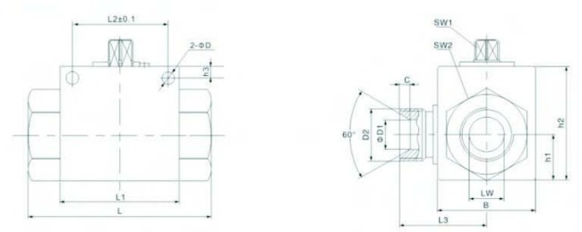 VH3H-GStraight High Pressure Ball Valve 