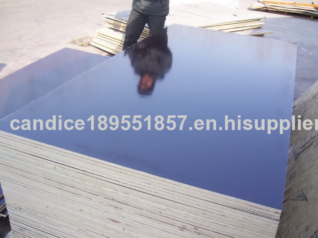 waterproof phenolic construction plywood 18mm 