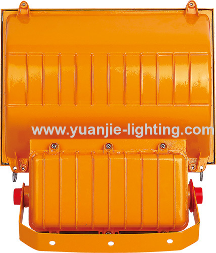 Long Service Life 250W IP65 floodlight