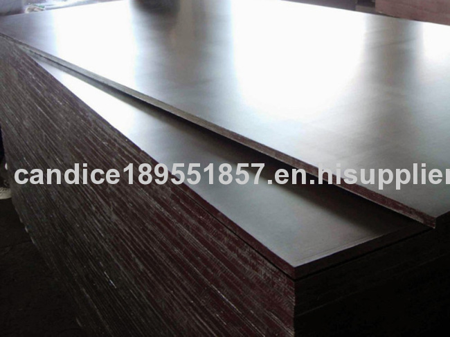 phenolic brown film faced hot press wood plywood 