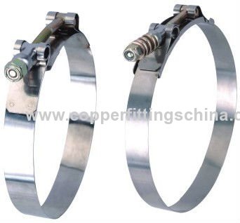 19mm T Type Stainless Steel Hose Clamp