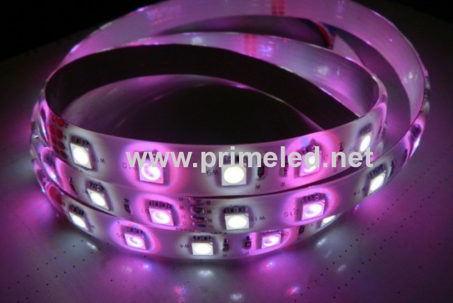 36LED/M RGBW LED Strip lighting 