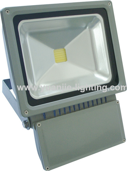 IP65 High Power 10W 30W 50W LED Floodlight