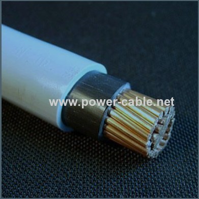 PPOO PVC insulated PVC sheath power cable