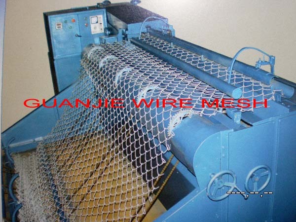 galvanized chain link fence factory & ISO9001