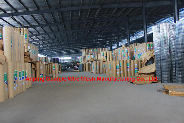 Galvanized welded wire mesh factory & ISO9001
