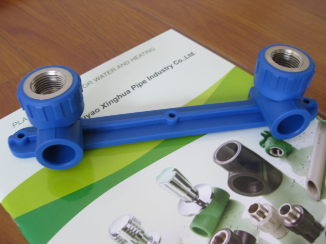 PP-R fittings and pipe Double Female Elbow Group from China