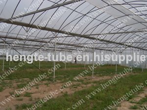WL96L Multi-span green house