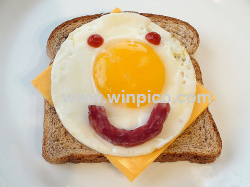 Toaster with Detachable Roasting Logo Yellow Color