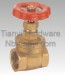 Horizontal Brass Red Color Handle Bi-directional Gate Valve