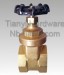 Horizontal Manual Brass Bi-directional Gate Valve