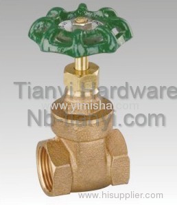 Horizontal Manual Brass Green Handle Bi-directional Gate Valve