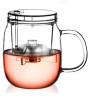Heat Resistant Borosilicate Glass Tea Cups